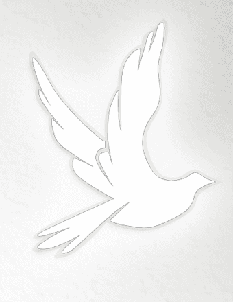 John Paul Mays Obituary
